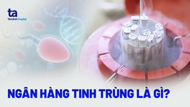 ngân hàng tinh trùng