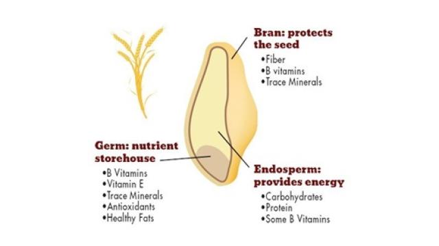 bột mì đen mua ở đâu