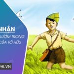 Cảm nhận về nhân vật Lượm trong bài thơ Lượm