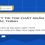 199+ STT Tik Tok Thả Thính Hài Hước, Chất, Ngắn, Ngầu, Vui