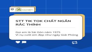 199+ STT Tik Tok Thả Thính Hài Hước, Chất, Ngắn, Ngầu, Vui