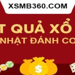 Chủ Nhật đánh con gì đánh đề số mấy? Chủ Nhật đánh lô gì