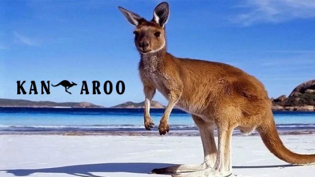 chuột túi, kanguru, kangaroo con, kangaroos, chuột túi kangaroo, căng gu ru, con kangaroo, kangaroo úc, kangaroo sống ở đâu, con chuột túi, chuot tui, kanguru sinh con, con chuot tui, kangaroo là của nước nào, kangaroo của nước nào, xứ sở chuột túi, chuột kangaroo, chuột túi ăn gì, chuột túi sống ở đâu, con chuột túi kangaroo, chuột túi con mới sinh, chuột túi nhảy, chuột túi kangaroo là biểu tượng của nước nào, thịt chuột túi kangaroo