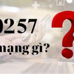 0257 là mạng gì, mã vùng ở đâu? Khám phá ý nghĩa của đầu số 0257