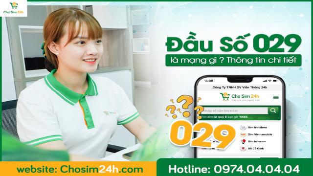 029 là mạng gì? Tìm hiểu thông tin chi tiết về đầu số 029