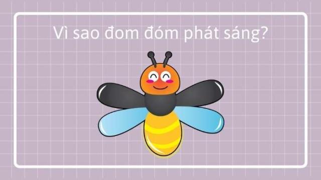 Vì sao đom đóm phát sáng