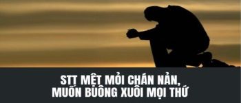 9999+ stt mệt mỏi với cuộc sống, tình yêu, công việc, học tập hút triệu like