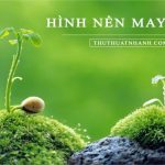 2023 Hình Nền May Mắn Thu Hút Tài Lộc – Bình An – Thành Công