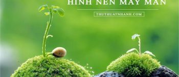 2023 Hình Nền May Mắn Thu Hút Tài Lộc – Bình An – Thành Công