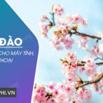 Link tải Hình nền hoa Đào đẹp, 4K