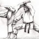 74 hình ảnh karate  đẹp nhất