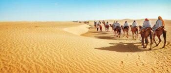 Sa mạc Sahara ở nước nào? Tìm hiểu sa mạc Sahara