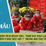 Phân tích đoạn thơ: "Năm nay đào lại nở... Hồn ở đâu bây giờ ?" trong bài thơ Ông đồ