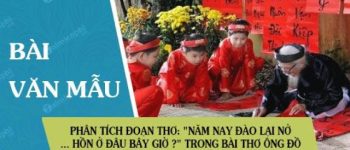 Phân tích đoạn thơ: "Năm nay đào lại nở... Hồn ở đâu bây giờ ?" trong bài thơ Ông đồ