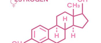 Hoocmon estrogen được sinh ra ở đâu?