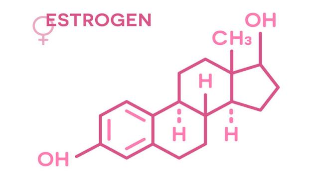 Hormone Estrogen là gì? 1