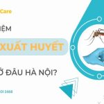 6 địa chỉ xét nghiệm Sốt xuất huyết uy tín, có xét nghiệm tại nhà