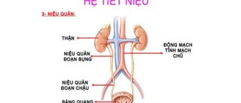 Bệnh viêm đường tiết niệu khám ở đâu tốt?