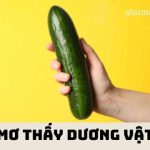 Mơ Thấy Dương Vật Đánh Số Mấy? Mơ Thấy Bộ Phận Sinh Dục Nam