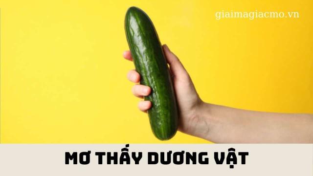 Mơ Thấy Dương Vật ❤️️Nằm Mơ Thấy Của Quý Đàn Ông