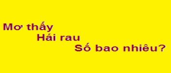 Chiêm bao mơ thấy hái rau đánh số đề con gì? là số mấy?