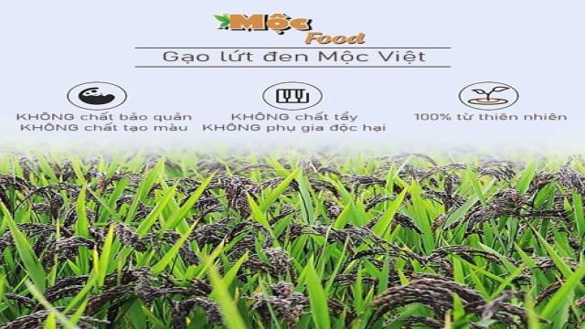 chất lượng gạo lứt đen dẻo mộc việt