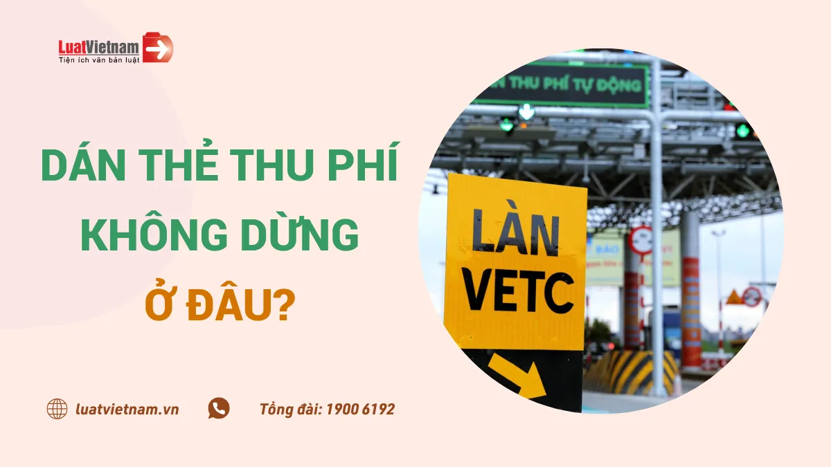 dan the thu phi khong dung o dau