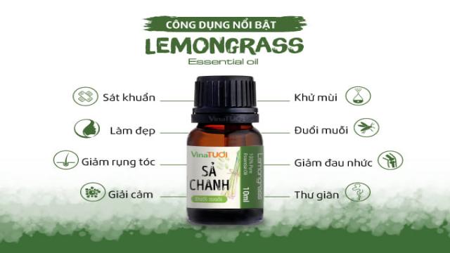 Tinh dầu sả chanh với các công dụng đa dạng và giá thành hợp lý