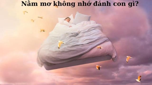 nằm mơ mà không nhớ đánh con gì