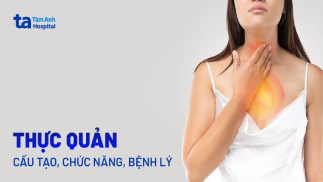 thực quản là gì