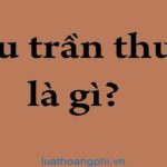 Câu trần thuật đơn có từ là là gì?