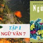 Chuẩn mực sử dụng từ (đầy đủ) – SGK Ngữ văn 7