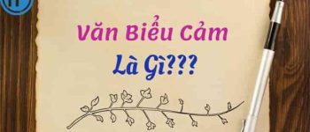 Đặc điểm của văn biểu cảm