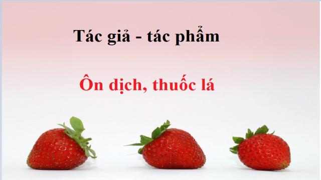 Tác giả tác phẩm Ôn dịch, thuốc lá - Ngữ văn lớp 8 (ảnh 1)