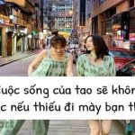 STT, Caption, những câu nói hay về tình bạn tri kỷ chất ngắn gọn và chân thành