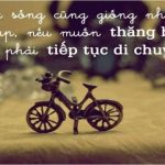 Những câu nói hay nhất về tình yêu, cuộc sống và gia đình