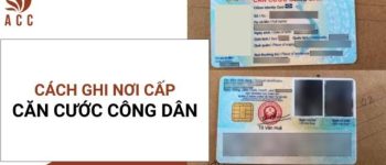 Hướng dẫn cách ghi nơi cấp căn cước công dân [Chi tiết 2023]