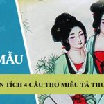 Phân tích 4 câu thơ miêu tả Thuý Vân