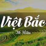 Bài phân tích 8 câu đầu bài Việt Bắc hay nhất