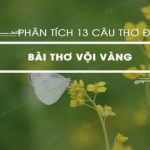 Phân tích 13 câu đầu bài thơ Vội vàng