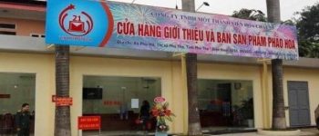 Danh sách địa chỉ bán pháo hoa z121 toàn quốc