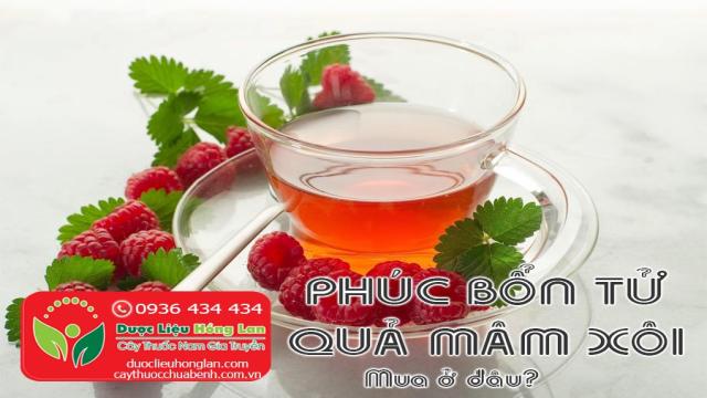 PHUC-BON-TU-QUA-MAM-XOI-MUA-O-DAU-CTY-DUOC-LIEU-HONG-LAN