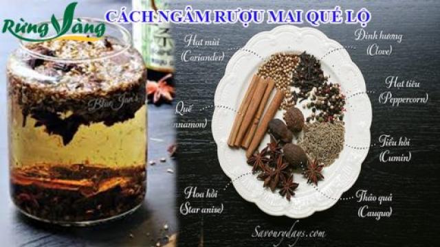 cách ngâm rượu mai quế lộ