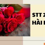 70+ STT 20/10 Hài Hước, Ấn Tượng, Thay Lời Chúc Gửi Tới Phái Đẹp