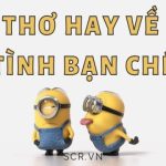 STT Bạn Bè Vui ❤️ Tus Hay Về Bạn Bè Hài Hước Nhất