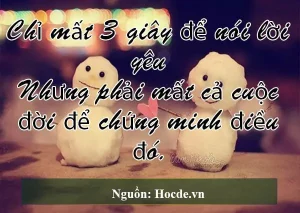 [Tuyển Chọn] 200+ Những câu nói hay về Tình Yêu, Cuộc Sống, Tình Bạn