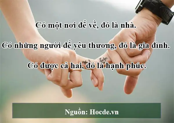 Tình yêu lớn không phải là yêu nhiều người, mà là yêu một người và yêu suốt đời.