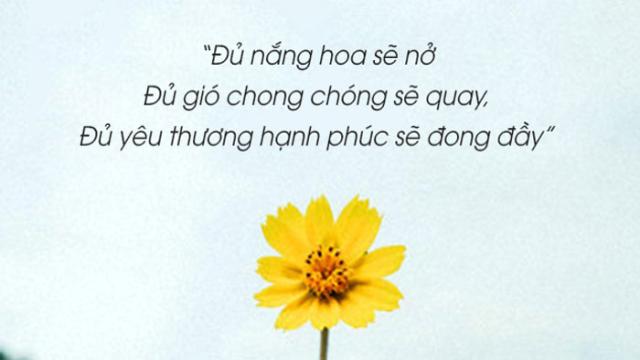 cap về hoa