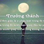 Thông tin - Quảng bá