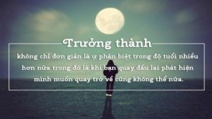 Thông tin - Quảng bá